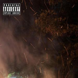 大屁股媚黑少妇与洋吊
