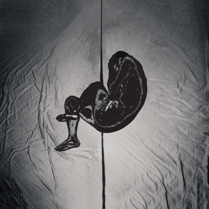 大屁股媚黑少妇与洋吊
