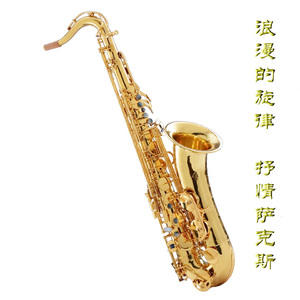 大屁股媚黑少妇与洋吊
